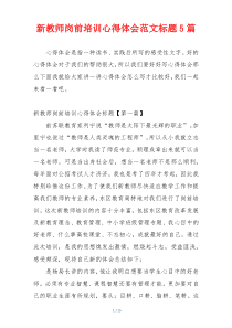 新教师岗前培训心得体会范文标题5篇