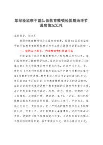 某纪检监察干部队伍教育整顿检视整治环节进展情况汇报