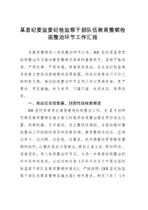 某县纪委监委纪检监察干部队伍教育整顿检视整治环节工作汇报