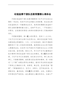 纪检监察干部队伍教育整顿心得体会