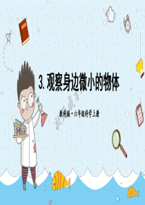 教科版六年级上册科学第1单元第3课 观察身边微小的物体 课件（ppt教学）