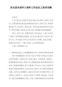 在全县未成年人保护工作会议上的讲话稿