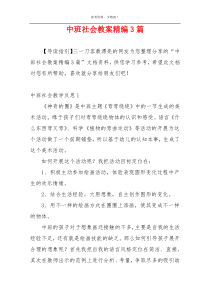 中班社会教案精编3篇