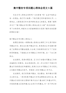 集中整治专项问题心得体会范文5篇