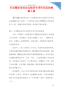 打击整治非法社会组织专项行动总结精编5篇