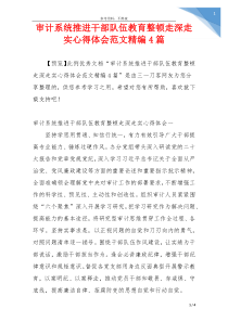 审计系统推进干部队伍教育整顿走深走实心得体会范文精编4篇