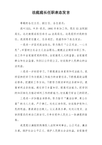 法庭庭长任职表态发言