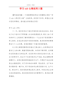 学习syb心得实用2篇