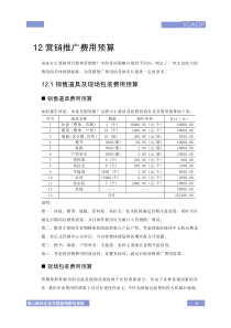 12.营销推广费用预算