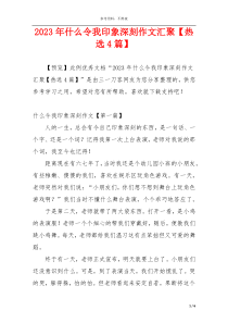 2023年什么令我印象深刻作文汇聚【热选4篇】