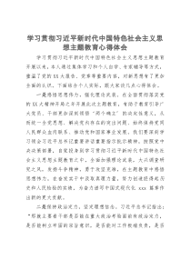 学习贯彻习近平新时代中国特色社会主义思想主题教育心得体会