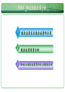 第六章现金流量质量分析