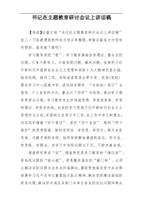 书记在主题教育研讨会议上讲话稿