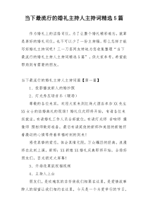 当下最流行的婚礼主持人主持词精选5篇