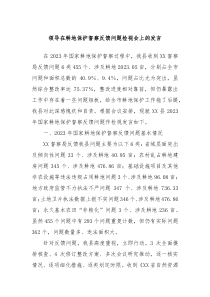 领导在耕地保护督察反馈问题检视会上的发言