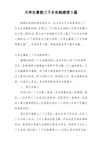 大学生暑假三下乡实践感想3篇