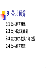 9公共预算