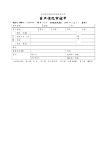 6.3-Z01-F1 资产情况审核单