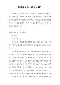 县领导发言（最新4篇）