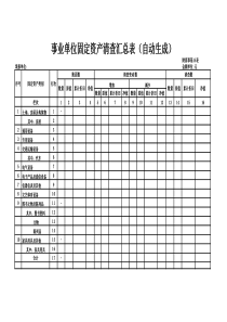 aid.事业单位固定资产清查汇总表（自动生成）