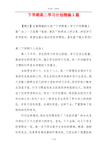 下学期高二学习计划精编3篇