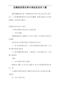 任期经济责任审计表态发言共3篇