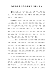 公司民主生活会专题学习上研讨发言