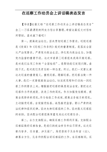 在巡察工作动员会上讲话稿表态发言