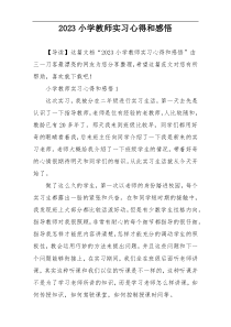 2023小学教师实习心得和感悟