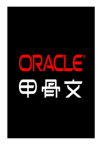 oracle提升数据使用价值