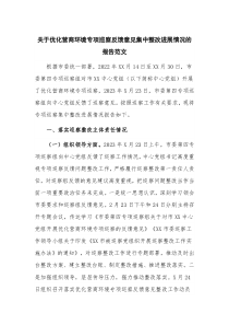 关于优化营商环境专项巡察反馈意见集中整改进展情况的报告范文