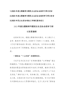 2023年度主题教育专题民主生活会会前学习研讨发言提纲和会前准备搞个范文3篇