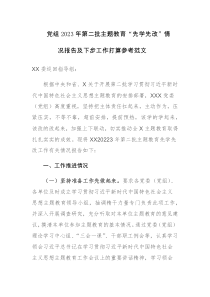 党组2023年第二批主题教育“先学先改”情况报告及下步工作打算参考范文