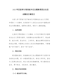 2023年区县审计局党组书记主题教育民主生活会整改方案范文