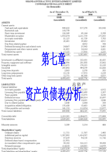 CPA7 资产负债表分析