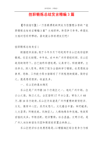 挂职锻炼总结发言精编3篇