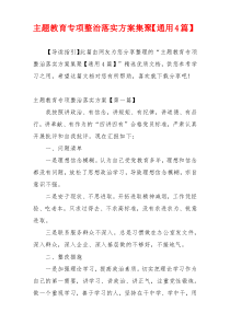 主题教育专项整治落实方案集聚【通用4篇】