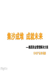 EAS资金管理解决方案(售前)