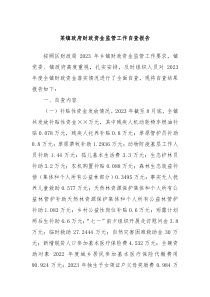 某镇政府财政资金监管工作自查报告