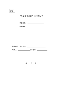 3.“希望伴飞计划”项目投标书