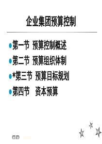 企业集团预算控制(2)