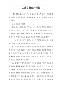 工业自查自纠报告