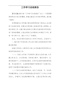 工作学习总结报告