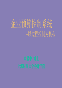 企业预算控制系统-以过程控制为核心