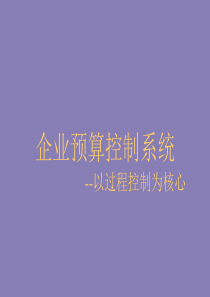 企业预算控制系统