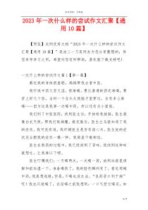 2023年一次什么样的尝试作文汇聚【通用10篇】