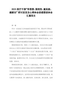 2023某厅干部“学思想、强党性、重实践、建新功”研讨发言及心得体会谈感想谈体会汇篇范文