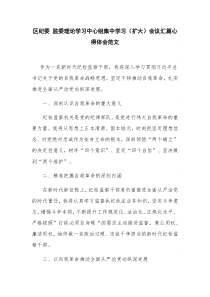 区纪委 监委理论学习中心组集中学习（扩大）会议汇篇心得体会范文