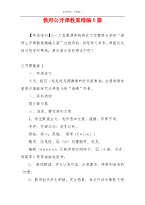 教师公开课教案精编5篇