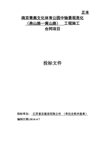 南京青奥文化体育公园中轴景观亮化投标文件